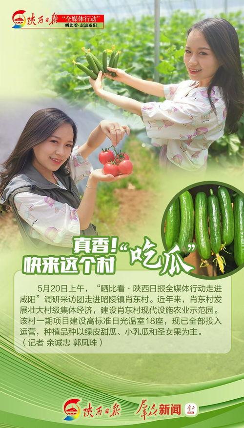 吃瓜真香小说免费阅读,揭秘小说中的甜蜜诱惑与情感纠葛 第1张 吃瓜真香小说免费阅读,揭秘小说中的甜蜜诱惑与情感纠葛 第1张